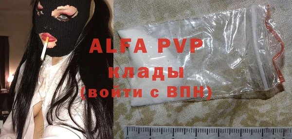 spice Вяземский