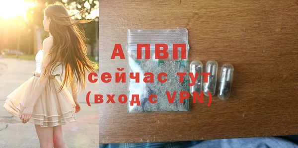 spice Вяземский
