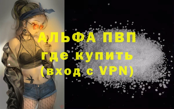 spice Вяземский