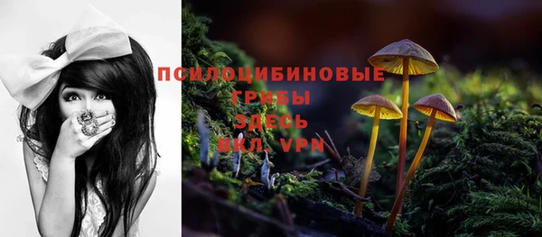 прущие крисы Вязьма