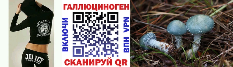 Купить где  Нея  Псилоцибиновые грибы MAGIC MUSHROOMS 