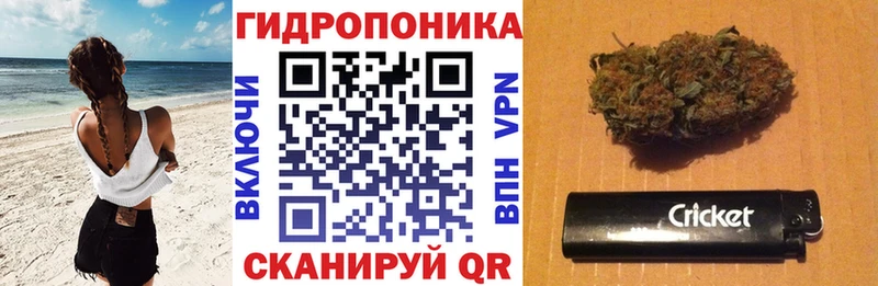 Купить  Нея  Бошки Шишки план 